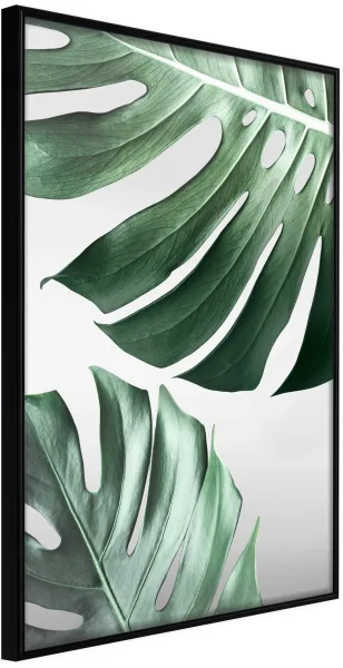 ARTGEIST Affisch med Ram - Leaves Like Swiss Cheese Svart 30x45